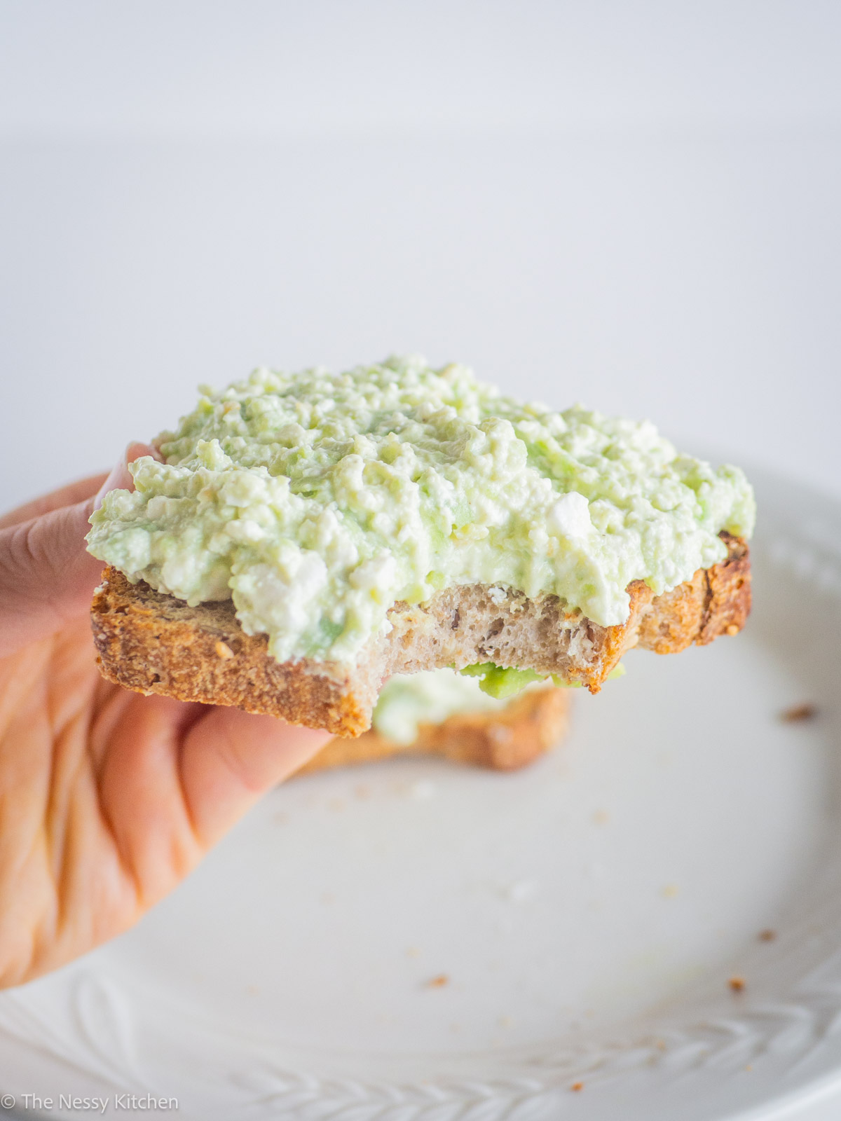 Hand holding a slice of toast with a bite taken out of it.