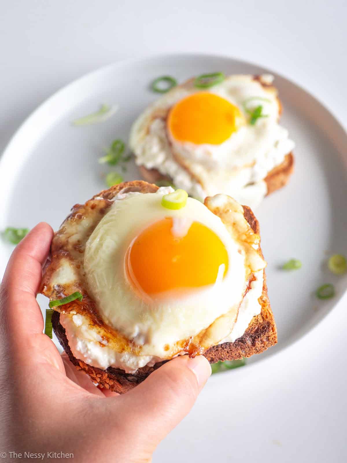 Cottage cheese with egg toasts in hand.