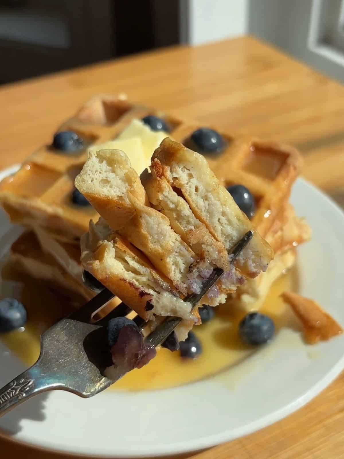 Fork holding a bit of toaster waffles.